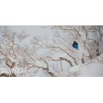 Giro Winter Sport Helmet Parts and Accessories (26)
